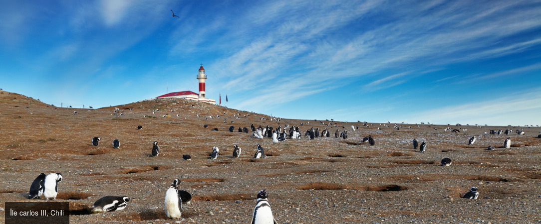 Croisière en Patagonie, entre Terre de feu, Santiago et Buenos Aires - Croisière de rêve en 10 nuits entre la Terre de feu, Santiago et Buenos Aires avec Rivages du Monde. - Chili & Argentine