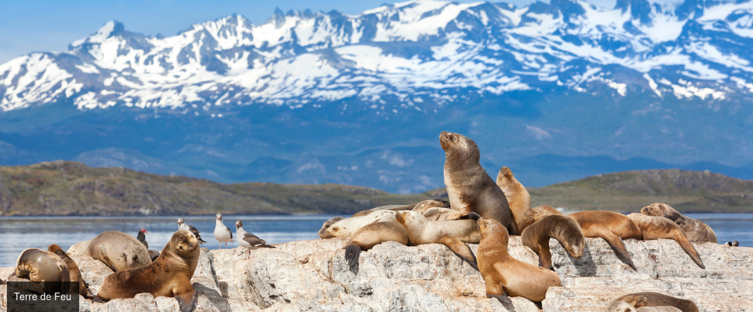 Croisière en Patagonie, entre Terre de feu, Santiago et Buenos Aires - Croisière de rêve en 10 nuits entre la Terre de feu, Santiago et Buenos Aires avec Rivages du Monde. - Chili & Argentine
