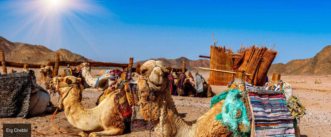 Escapade marocaine, de Marrakech au Sahara - Circuit privatif de 7 nuits, de Marrakech aux dunes dorées de Merzouga, entre kasbahs, vallées, palmeraies et nuit sous les étoiles. - Maroc : Marrakech, Ouarzazate & Sahara
