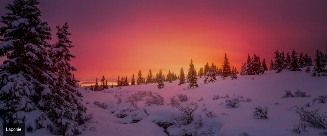 Laponie : séjour féerique à Levi - Séjour féérique de 4 à 6 nuits à Levi entre motoneige, chiens de traîneaux et aurores boréales en Laponie finlandaise. - Finlande : Levi, Laponie
