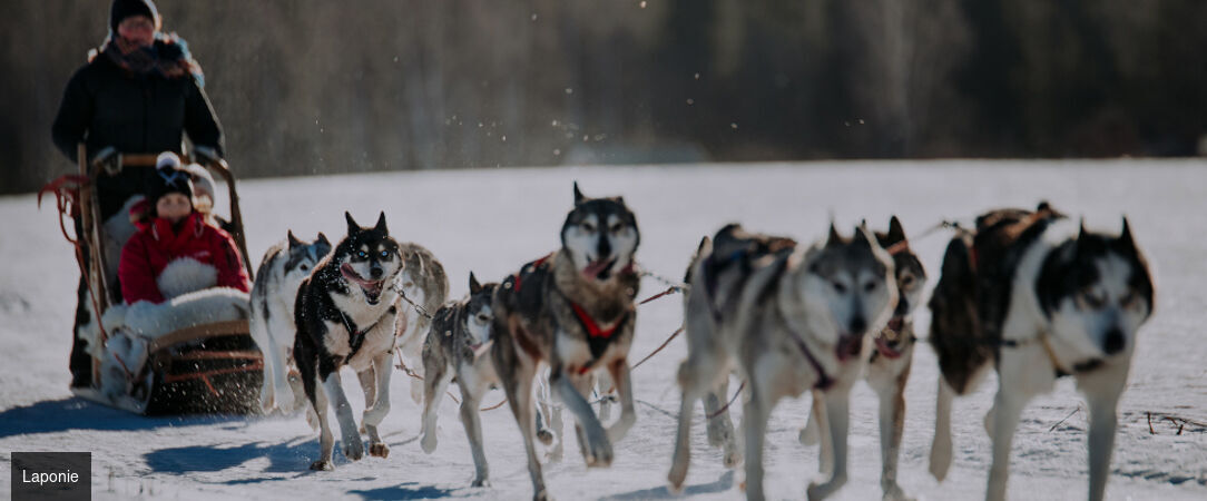 Laponie : séjour féerique à Levi - Séjour féérique de 4 à 6 nuits à Levi entre motoneige, chiens de traîneaux et aurores boréales en Laponie finlandaise. - Finlande : Levi, Laponie