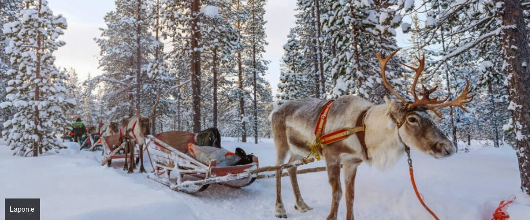 Laponie : séjour féerique à Levi - Séjour féérique de 4 à 6 nuits à Levi entre motoneige, chiens de traîneaux et aurores boréales en Laponie finlandaise. - Finlande : Levi, Laponie