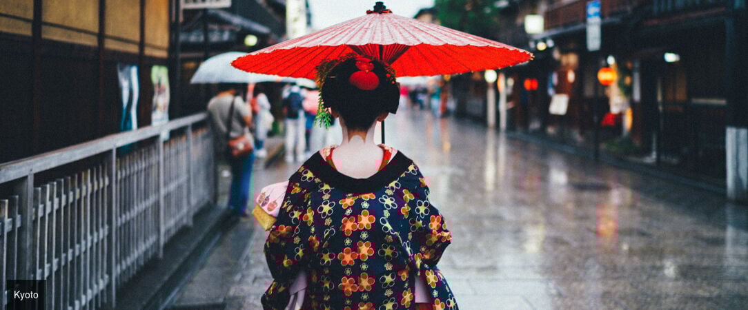 Le Japon sous toutes ses formes -  - Japon