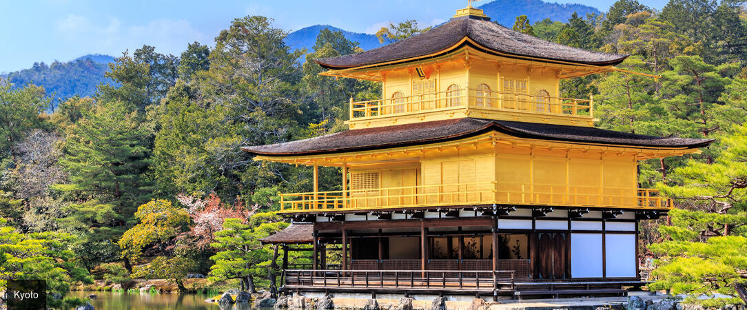 Le Japon sous toutes ses formes -  - Japon