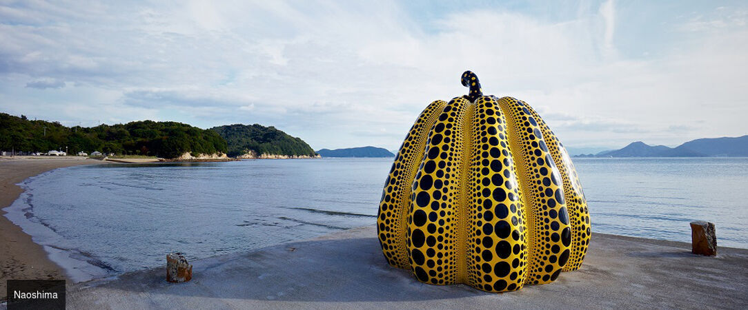 Le Japon sous toutes ses formes -  - Japon