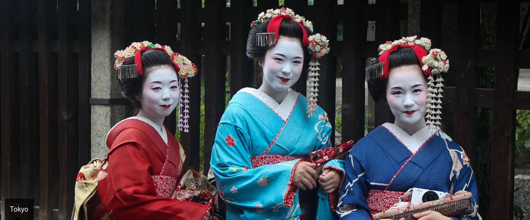 Le Japon sous toutes ses formes -  - Japon