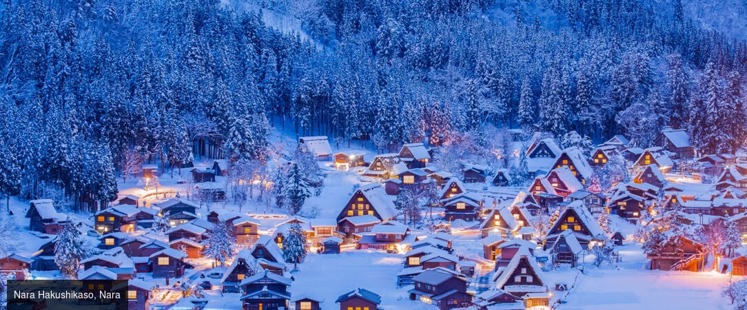 Le Japon sous toutes ses formes -  - Japon