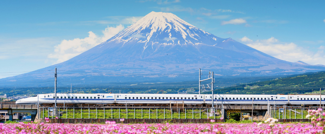 Le Japon sous toutes ses formes -  - Japon