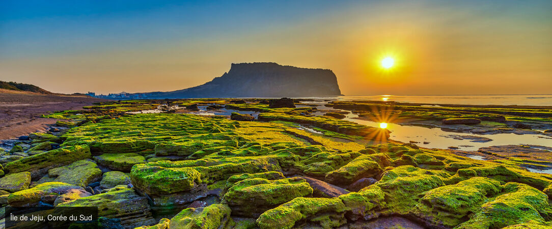 Croisière au fil du Japon : entre art, nature et traditions - Croisière de 17 jours à bord du Celebrity Millennium, entre Japon et Corée, et au cœur de l’art, de la nature et de la culture. - Japon
