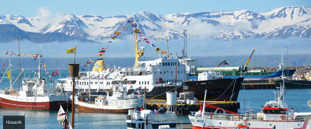 Islande : sources chaudes et routes arctiques - Autotour de 5 nuits en Islande, au cœur de l’hiver, entre bains géothermiques, fjords enneigés et paysages lunaires, sur les routes du nord jusqu’au cercle arctique. - Islande : de Reykjavik au Akureyri