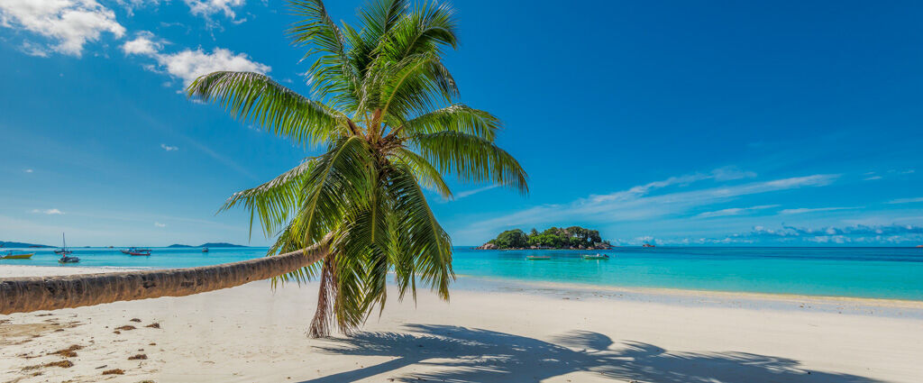 Croisière privée aux Seychelles à bord d'un catamaran haut de gamme - Adults Only 18+ - Trois croisières de 18 à 20 jours entre glaciers, fjords et villes mythiques du bout du monde, du Chili à l’Argentine en passant par l’Uruguay. - Seychelles