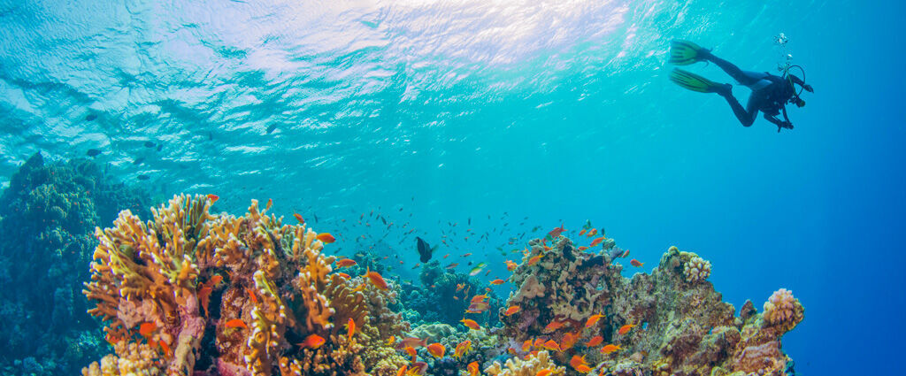 Croisière privée aux Seychelles à bord d'un catamaran haut de gamme - 7 nuits en All Inclusive au cœur de l’archipel mythique des Seychelles, entre lagons turquoise, nature préservée et douceur créole. - Seychelles