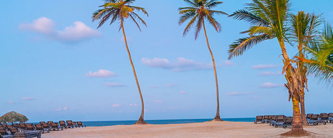 Ocean El Faro - El Beso ★★★★★ - Adults Only Jet tours Signature - Votre paradis terrestre réservé aux adultes à Punta Cana. - Punta Cana, République dominicaine