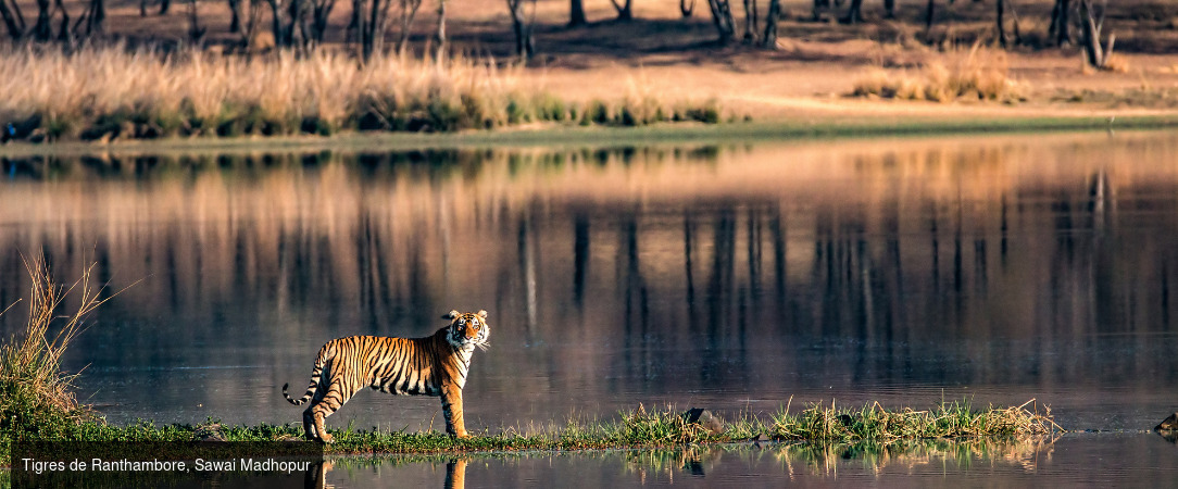 L’Inde majestueuse à bord du luxueux train Deccan Odyssey -  - Inde : de Delhi à Orchha