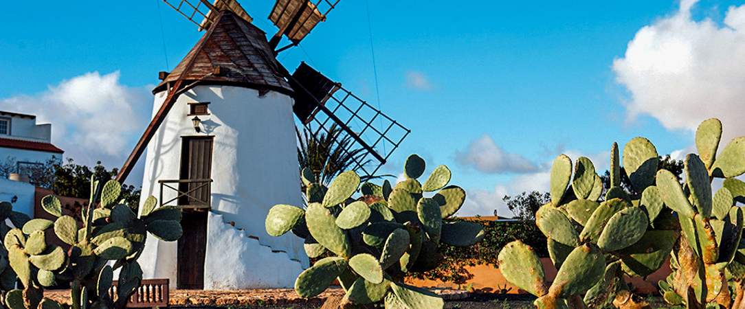 Hôtel Livvo Jandía Golf ★★★★ - Une escapade lumineuse à Fuerteventura, entre golf, océan et douceur des Canaries. - Fuerteventura, Îles Canaries