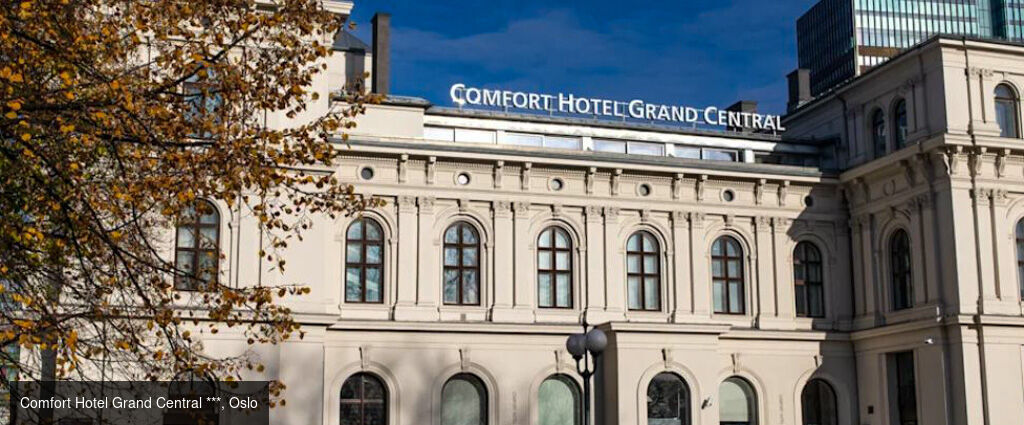 Les capitales scandinaves en train et en croisière - Circuit de 7 nuits en train et en croisière : les trois capitales nordiques, la nature norvégienne et le charme de la Suède. - Scandinavie : Copenhague, Oslo, Stockholm