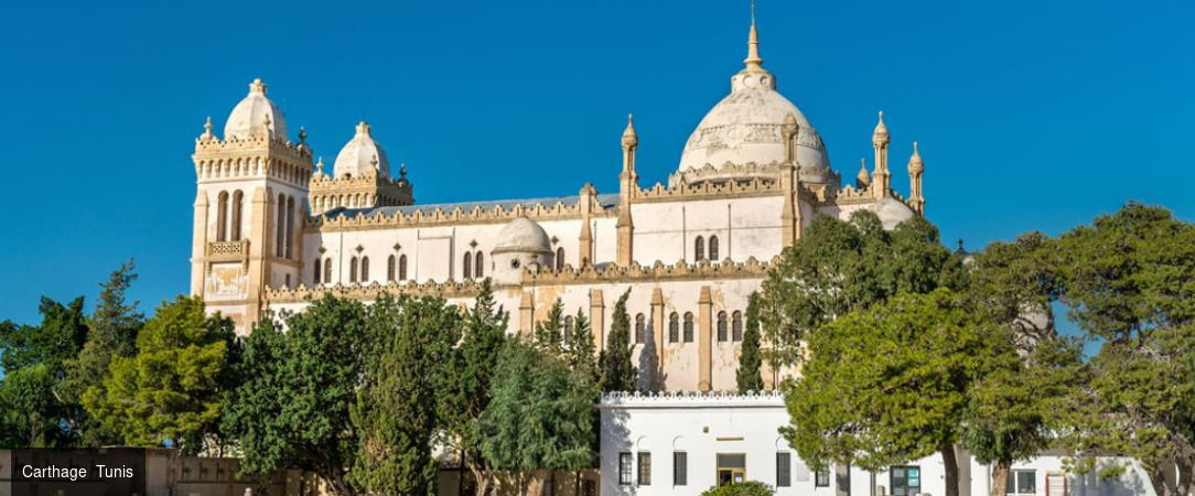 Tunisie Authentique & Terroirs du Sud - Circuit groupé de 4 nuits d’Hammamet à Tunis en passant par Zaghouan, entre sites classés, villages berbères & terroirs authentiques, avec extension possible. - Tunisie : Hammamet, Zaghouan, Tunis