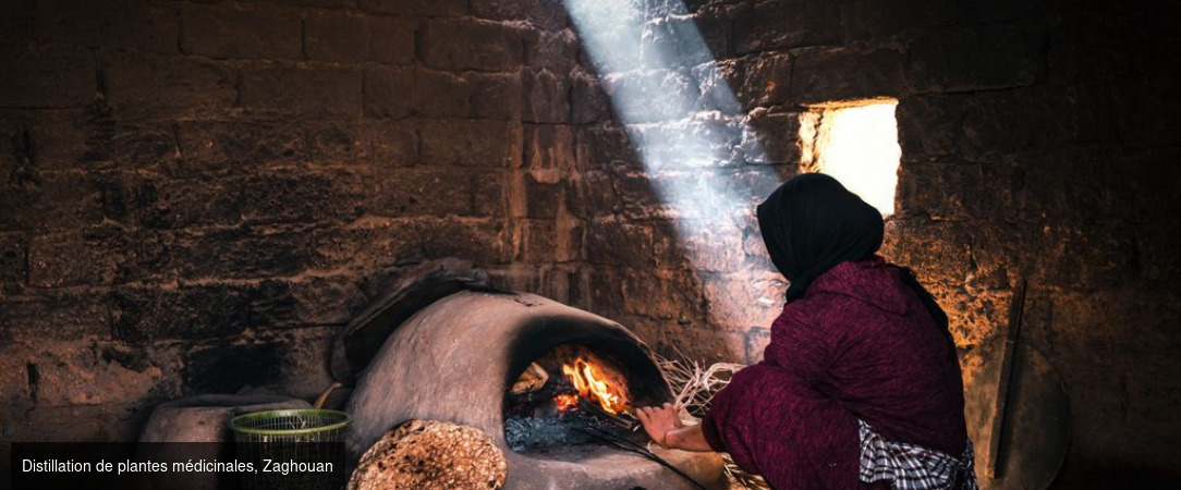 Tunisie Authentique & Terroirs du Sud - Circuit groupé de 4 nuits d’Hammamet à Tunis en passant par Zaghouan, entre sites classés, villages berbères & terroirs authentiques, avec extension possible. - Tunisie : Hammamet, Zaghouan, Tunis