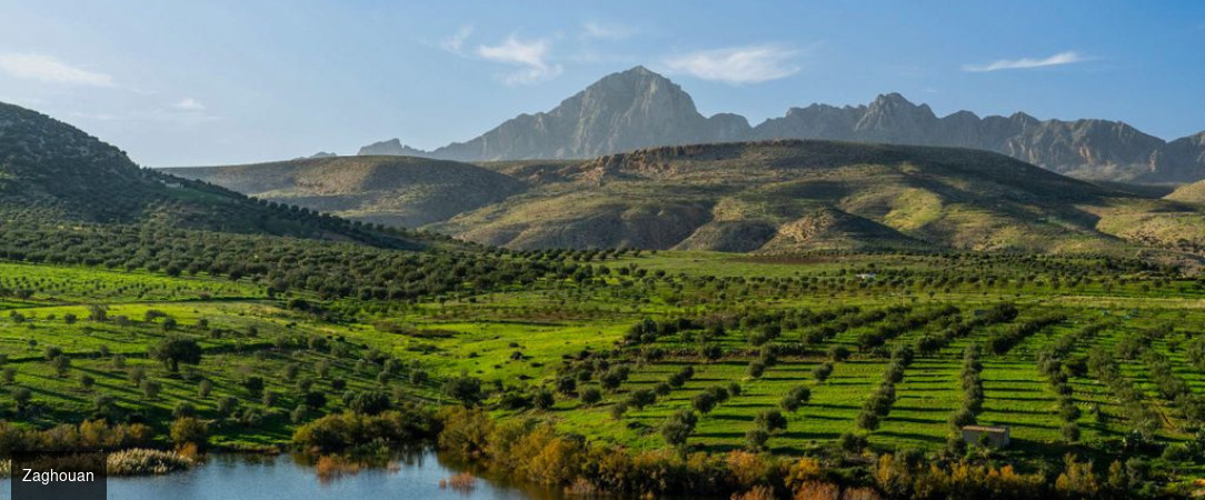 Tunisie Authentique & Terroirs du Sud - Circuit groupé de 4 nuits d’Hammamet à Tunis en passant par Zaghouan, entre sites classés, villages berbères & terroirs authentiques, avec extension possible. - Tunisie : Hammamet, Zaghouan, Tunis
