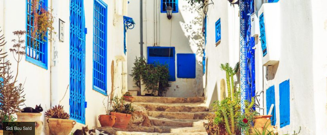 Tunisie Authentique & Terroirs du Sud - Circuit groupé de 4 nuits d’Hammamet à Tunis en passant par Zaghouan, entre sites classés, villages berbères & terroirs authentiques, avec extension possible. - Tunisie : Hammamet, Zaghouan, Tunis