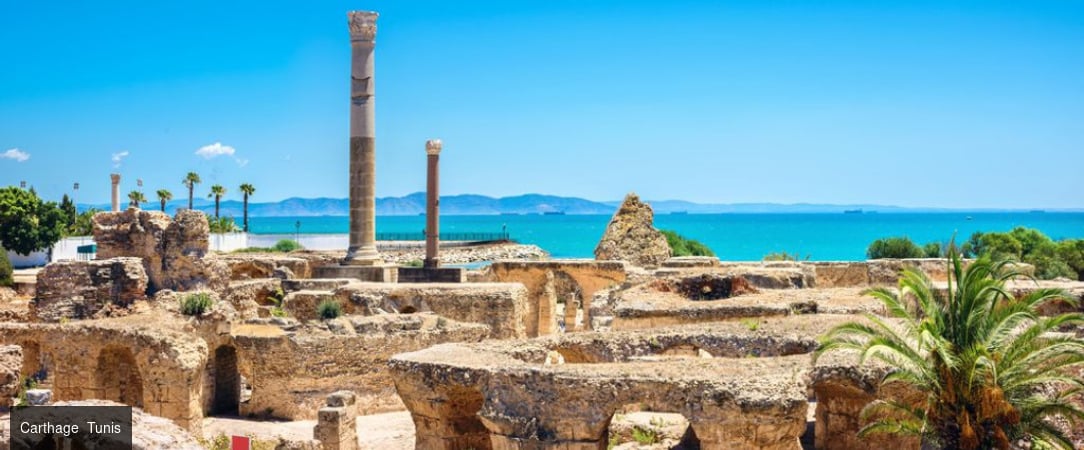 Tunisie Authentique & Terroirs du Sud -  - Tunisie : Hammamet, Zaghouan, Tunis