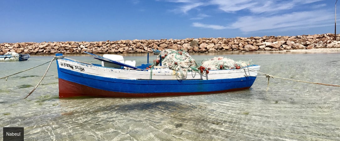 Tunisie Authentique & Terroirs du Sud -  - Tunisie : Hammamet, Zaghouan, Tunis