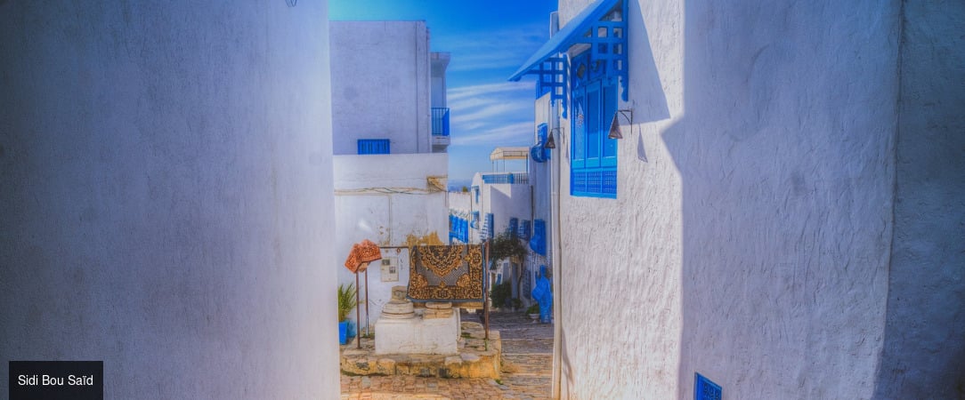 Tunisie Authentique & Terroirs du Sud -  - Tunisie : Hammamet, Zaghouan, Tunis