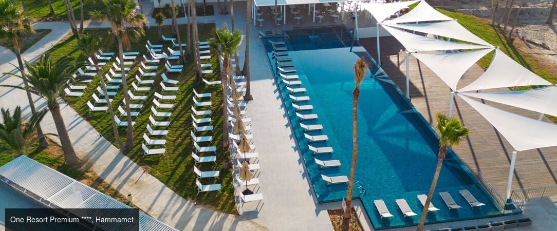 Tunisie Authentique & Terroirs du Sud -  - Tunisie : Hammamet, Zaghouan, Tunis