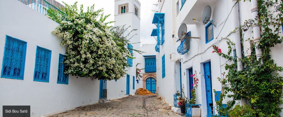 Tunisie Authentique & Terroirs du Sud -  - Tunisie : Hammamet, Zaghouan, Tunis