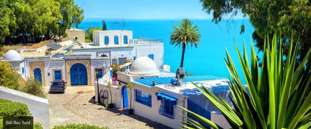 Tunisie Authentique & Terroirs du Sud -  - Tunisie : Hammamet, Zaghouan, Tunis