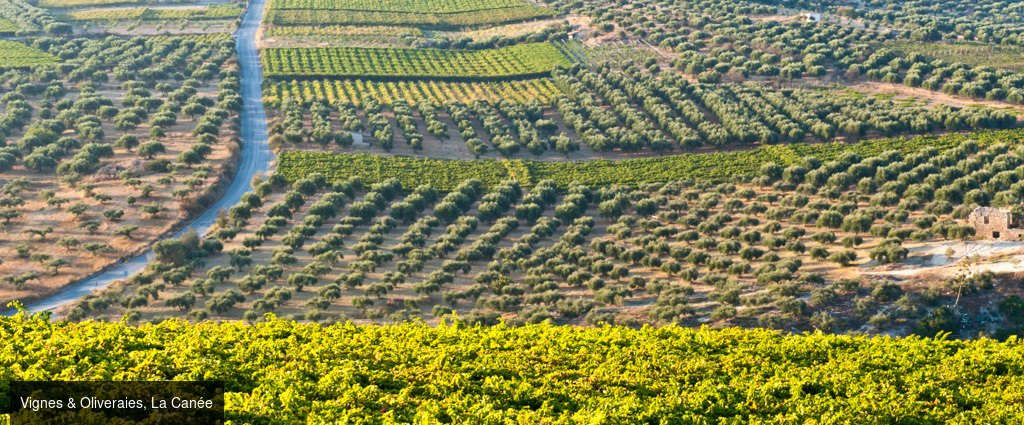 La Crète d’Est en Ouest -  - Grèce – Crète (Est & Ouest)