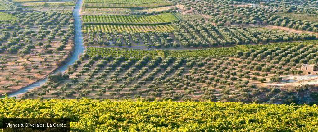 La Crète d’Est en Ouest -  - Crète : Héraklion, Agios Nikolaos & La Canée