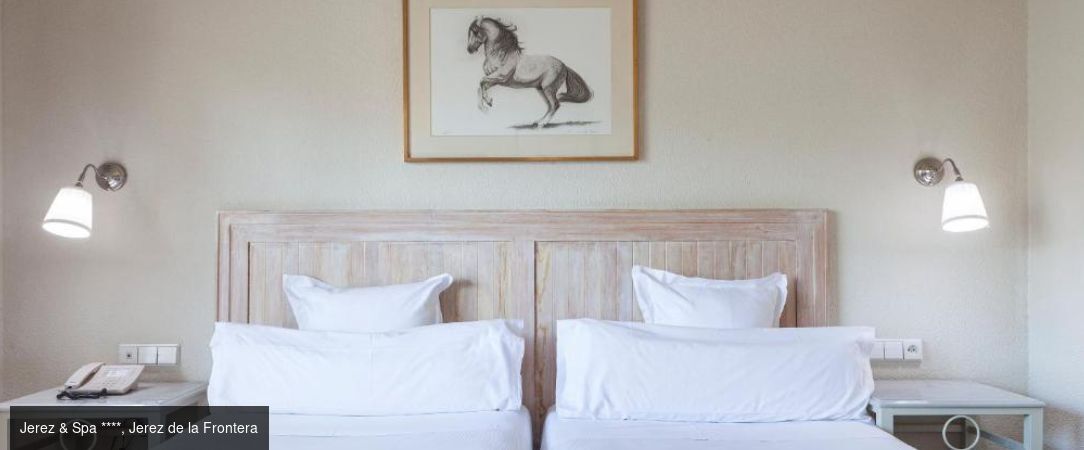 Palais et Villages Blancs sous le soleil d'andalousie -  - Andalousie : Malaga, Séville