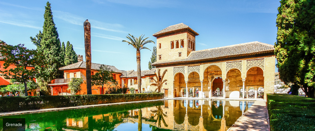 Palais et Villages Blancs sous le soleil d'andalousie -  - Andalousie : Malaga, Séville