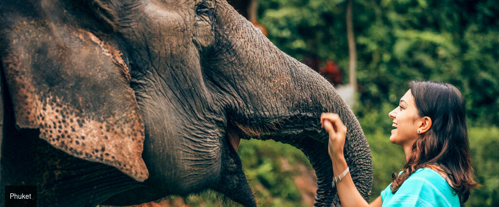 Plages & Nature du Sud de la Thaïlande -  - Thaïlande : Phuket, Krabi, Khao Lak