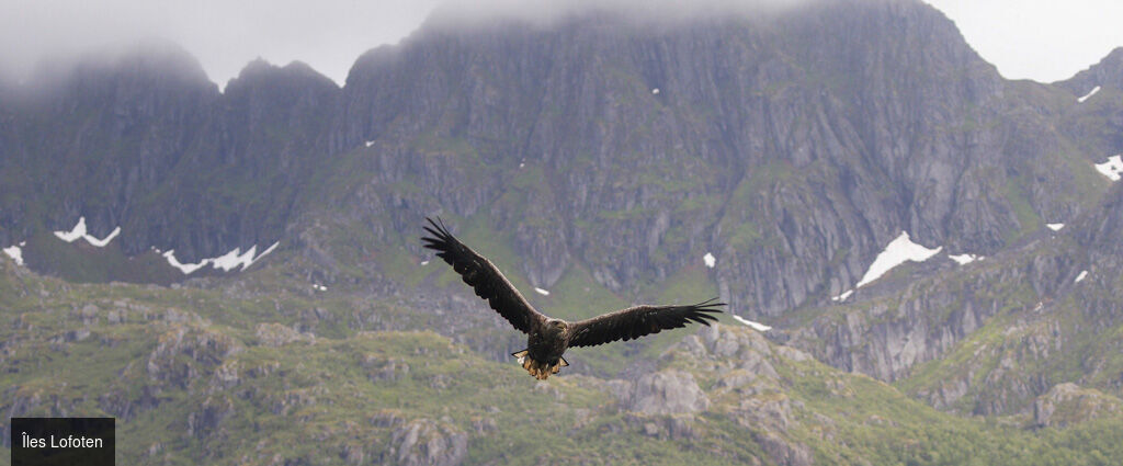 Croisière entre fjords et mythes, l'absolue Norvège - Croisière de 10 nuits dans les fjords norvégiens : un voyage majestueux entre montagnes, cascades, villages côtiers & légendes scandinaves, du 12 au 22 juin 2026. - Norvège : Bergen, Tromsø, Cap Nord