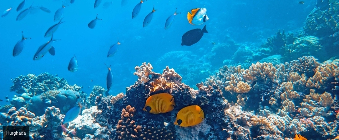 L'Égypte et la Mer Rouge - Circuit groupé de 11 nuits entre sites pharaoniques majeurs, croisière sur le Nil et séjour balnéaire en All Inclusive sur les plages de la mer Rouge. - Égypte : Le Caire, le Nil & Hurghada