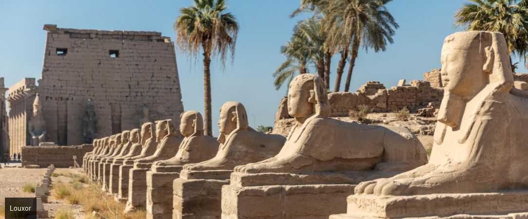 L'Égypte et la Mer Rouge - Circuit groupé de 11 nuits entre sites pharaoniques majeurs, croisière sur le Nil et séjour balnéaire en All Inclusive sur les plages de la mer Rouge. - Égypte : Le Caire, le Nil & Hurghada