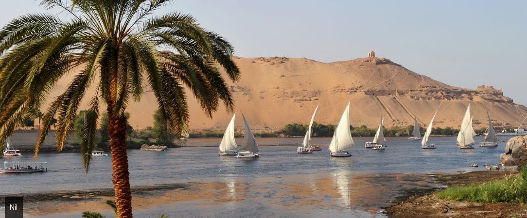 L'Égypte et la Mer Rouge - Circuit groupé de 11 nuits entre sites pharaoniques majeurs, croisière sur le Nil et séjour balnéaire en All Inclusive sur les plages de la mer Rouge. - Égypte : Le Caire, le Nil & Hurghada