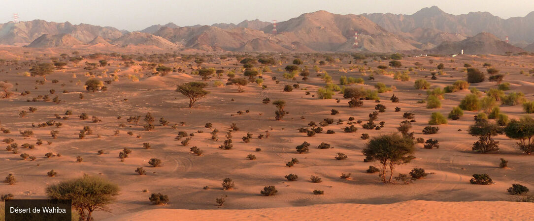 Oman, le joyau d’Arabie -  - Oman : Mascate, Nizwa & Wahiba Sands