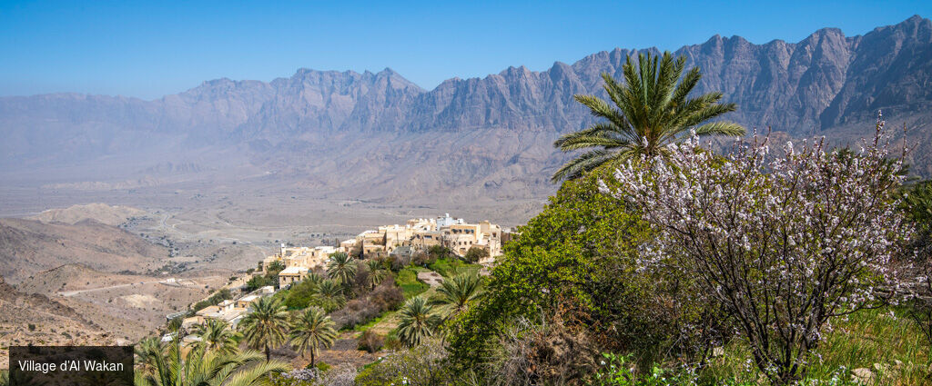 Oman, le joyau d’Arabie -  - Oman : Mascate, Nizwa & Wahiba Sands
