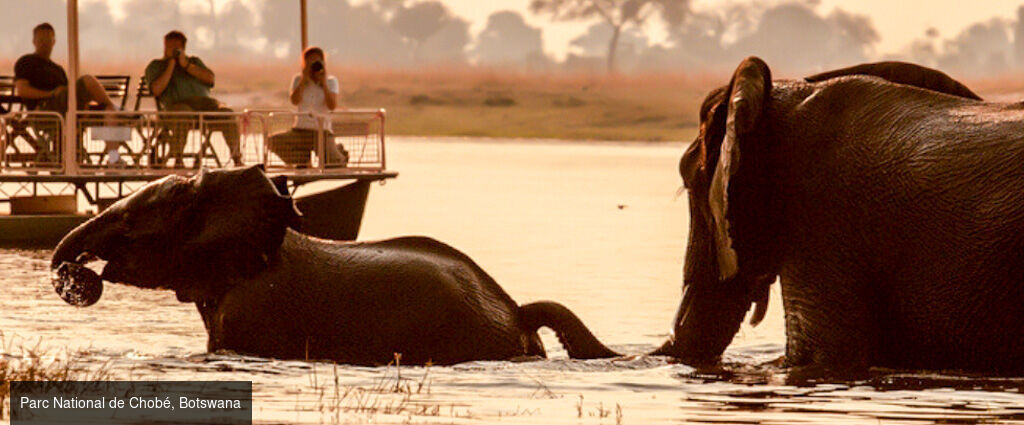 L’Afrique Australe à bord du Zimbabwean Dream - Croisière-safari de 8 nuits en Afrique australe ; parcs mythiques de Chobé et de Matusadona, traditions namibiennes et paysages grandioses des chutes Victoria. - Afrique australe