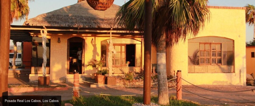 Basse-Californie Sud -  - Basse-Californie du SudMexique