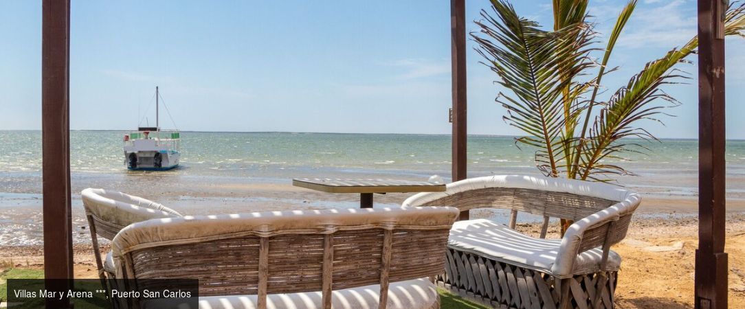 Basse-Californie Sud -  - Basse-Californie du SudMexique