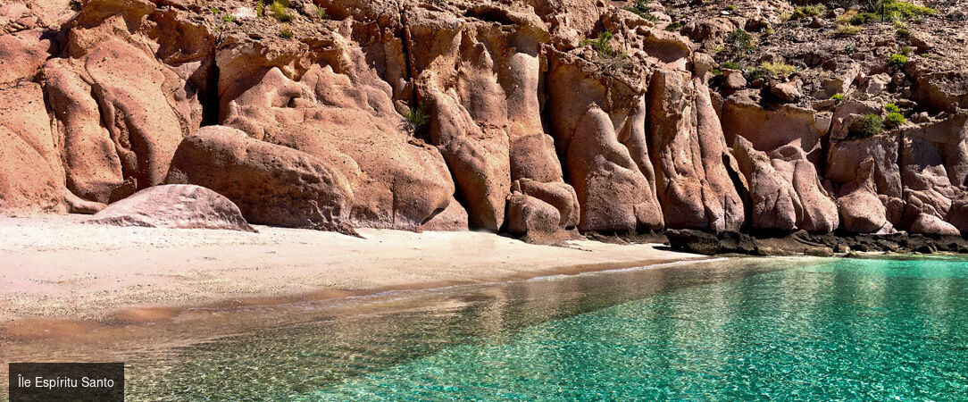 Basse-Californie Sud -  - Basse-Californie du SudMexique