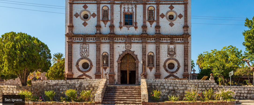 Basse-Californie Sud -  - Basse-Californie du SudMexique