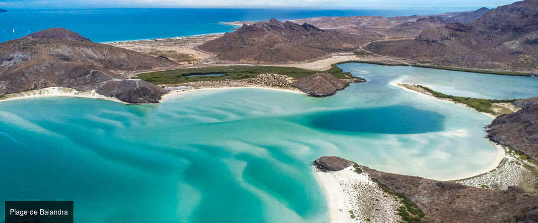 Basse-Californie Sud -  - Basse-Californie du SudMexique