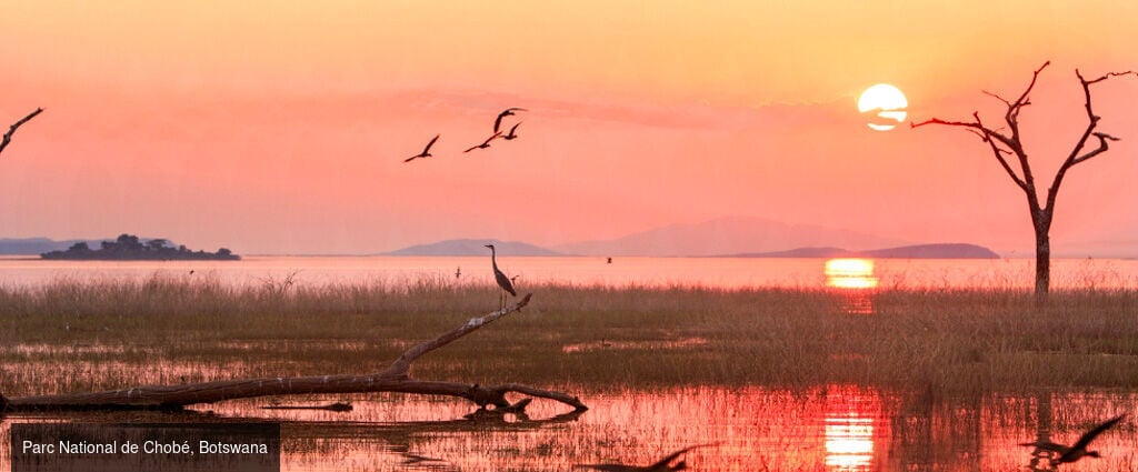 L’Afrique Australe à bord du Zimbabwean Dream -  - Afrique australe – Johannesburg, Parc de Chobé, Lac Kariba, Victoria Falls