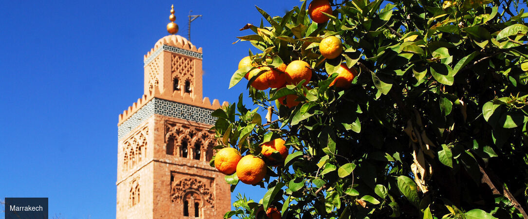 Villes impériales & splendeurs du Maroc - Jet Tours Signature - Circuit de 7 nuits à la découverte des villes impériales, entre médinas classées, vestiges antiques et paysages du Moyen Atlas. - Maroc : Marrakech, Fès & Casablanca