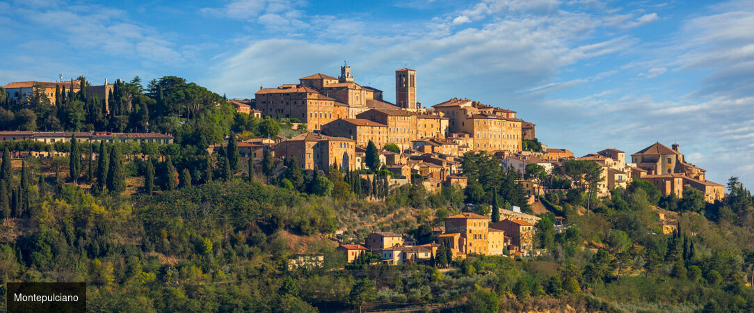 Échappée médiévale et saveurs toscanes - Autotour de 5 nuits, une escapade au cœur des paysages emblématiques de la Toscane. - Italie : San Gimignano, Sienne & Val d'Orcia
